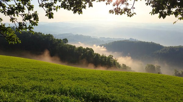 Assainissement : top solutions écologiques pour un avenir durable