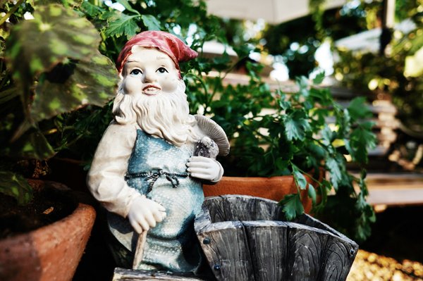 Découvrez le meilleur nain de jardin pour votre espace