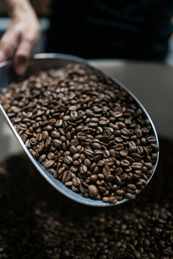 Guide complet pour votre machine à café / cafetière